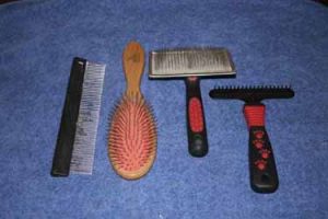 Comb, pin brush, slicker and rake.